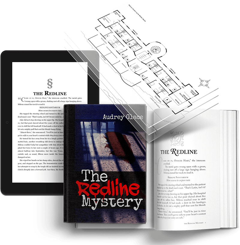 Book Writing, Cover, Illustrations, Website, and Publishing for The Redline Mystery